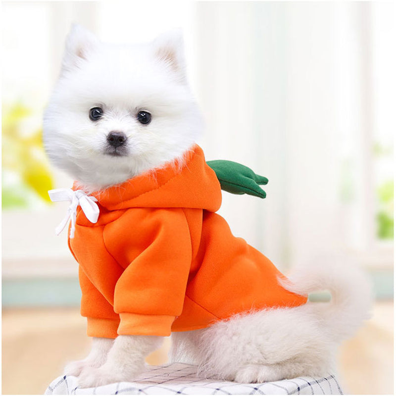 Pet Hoodie for Small Dogs and Cats