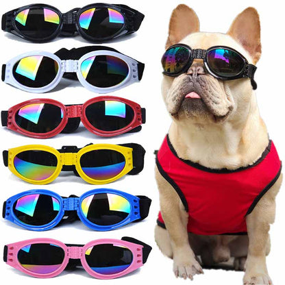 🔥30% OFF🔥 Dog Sunglasses