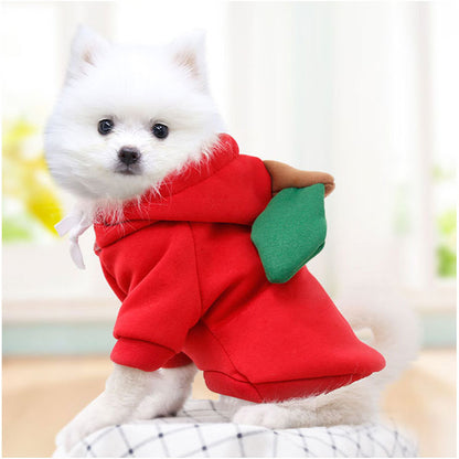 Pet Hoodie for Small Dogs and Cats